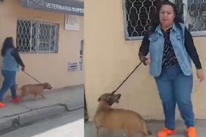 Lady Popó: Mujer se niega recoger las heces de su mascota y grita que quieren abusar de ella cuando la graban