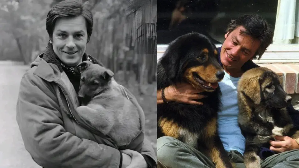 Muere la estrella de cine francesa, Alain Delon, a la edad de 88 años en París