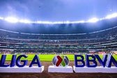 Llegada del fondo de inversión eliminará el ascenso y descenso de la Liga MX y Expansión MX
