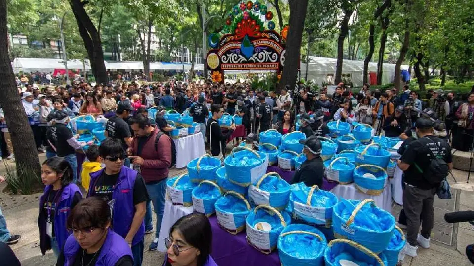 Tlaxcala impone nuevo Récord Guinness por la mayor variedad de tacos de canasta