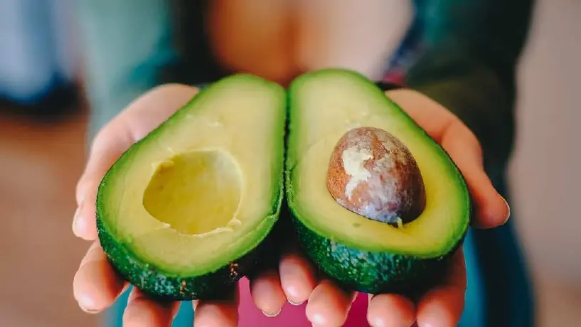 Michoacán se prepara para reanudar exportación de aguacate y mango a Estados Unidos