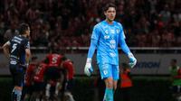 Mauro Gerk adelanta la llegada de Fernando Tapia a Tigres