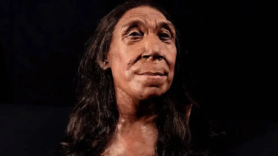 Reconstruyen rostro de una mujer neandertal que vivió hace 75 mil años