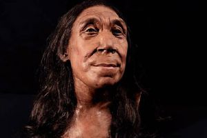 Reconstruyen rostro de una mujer neandertal que vivió hace 75 mil años