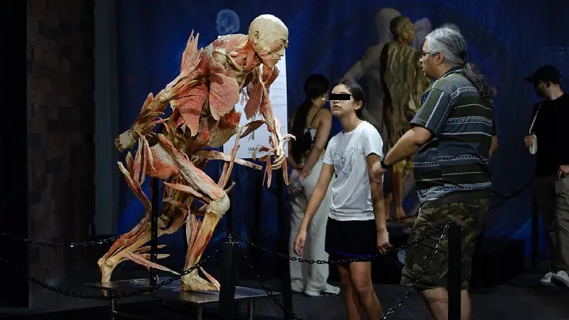 ¿Por qué la exposición ‘Our Body, el Universo Dentro’ está impactando a todos?