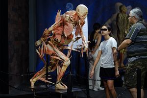 ¿Por qué la exposición ‘Our Body, el Universo Dentro’ está impactando a todos?