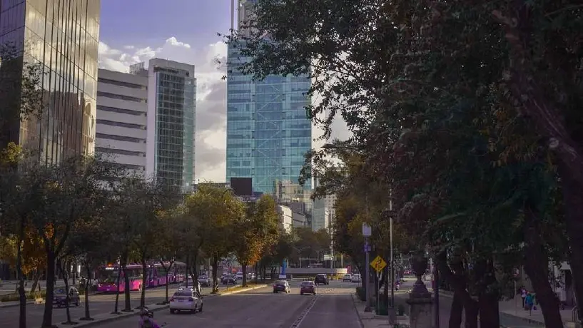 Hoy No Circula: Checa qué vehículos descansan este miércoles en CDMX y Edomex