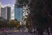 Hoy No Circula: Checa qué vehículos descansan este miércoles en CDMX y Edomex