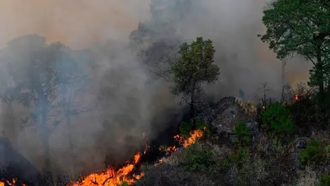 Hay 4 incendios foretales activos en Hidalgo