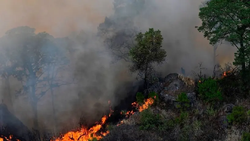 Hay 4 incendios foretales activos en Hidalgo