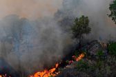 Hay 4 incendios foretales activos en Hidalgo