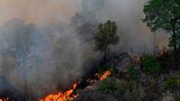 Hay 4 incendios foretales activos en Hidalgo
