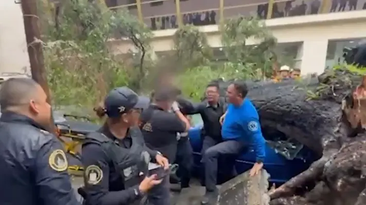 Árbol cae sobre vehículo de una mujer y muere en la colonia Nápoles, CDMX