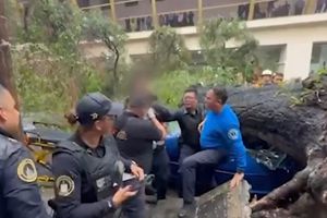 Árbol cae sobre vehículo de una mujer y muere en la colonia Nápoles, CDMX