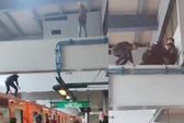 VIDEO: Policías rescatan a un hombre que intentó lanzarse al Metro en la estación Constitución de 1917, CDMX