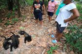 Semarnat toma medidas para investigar la muerte de primates en los estados de Tabasco y Chiapas