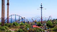 Six Flags decide reubicar nuevo juego ante protesta por tala de árboles