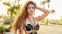 Shakira acusa al Estado español de quedarse con todo su dinero de 10 años