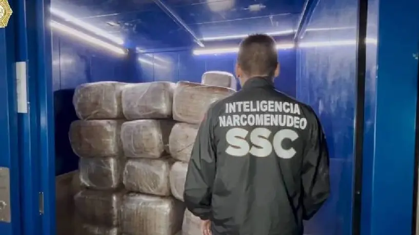 Decomisa SSC 600 kilos de marihuana en domicilio del Centro Histórico