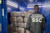 Decomisa SSC 600 kilos de marihuana en domicilio del Centro Histórico