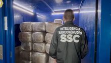 Decomisa SSC 600 kilos de marihuana en domicilio del Centro Histórico