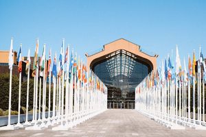 París 2024: Calendario y agenda del sábado 3 de agosto