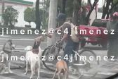 VIDEO: Captan a paseador de perros dándole cerveza a una mascota