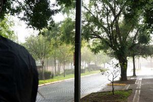 ¡Llegaron las lluvias! Pronostican precipitaciones para la Ciudad de México durante los próximos días