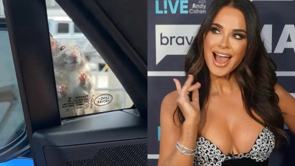VIDEO: La actriz Kyle Richard es víctima de la rata… ¡de cuatro patas!