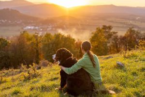Festival de la naturaleza en México: ¿Cuándo y dónde será?