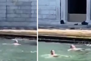 ¿Cuánto pagarán de multa los turistas que nadaron en las aguas del cementerio de Venecia?