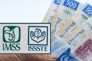 Pensión IMSS e ISSSTE: ¿Qué beneficiarios recibirán un pago "extra" en el mes de agosto?