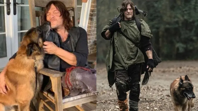 ¡Adiós amigo! Muere ‘Seven’ el perro que interpreta a ‘Dog’ en ‘The Walking Dead’