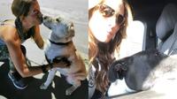Muere Ana Lorena Cepeda, creó albergue donde rehabilitaba pitbulls