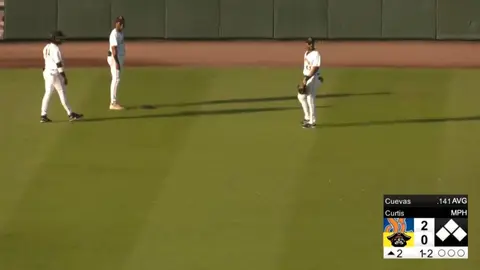 ¡Reptil beisbolero! Tortuga invade el 'diamante' en pleno juego de beisbol