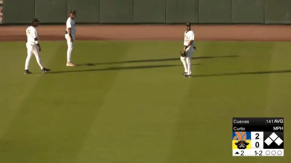 ¡Reptil beisbolero! Tortuga invade el 'diamante' en pleno juego de beisbol