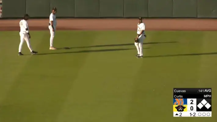 ¡Reptil beisbolero! Tortuga invade el 'diamante' en pleno juego de beisbol