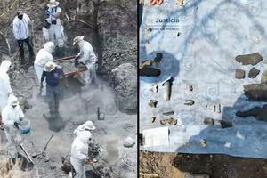 “Son restos de animales, no de humanos”: FGJ sobre presunta fosa clandestina en la CDMX