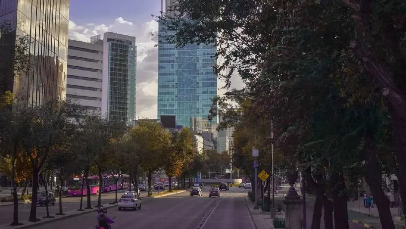 Doble Hoy No Circula para este 14 de mayo: Se activa Contingencia Ambiental en la Ciudad de México