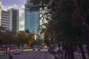 Doble Hoy No Circula para este 14 de mayo: Se activa Contingencia Ambiental en la Ciudad de México