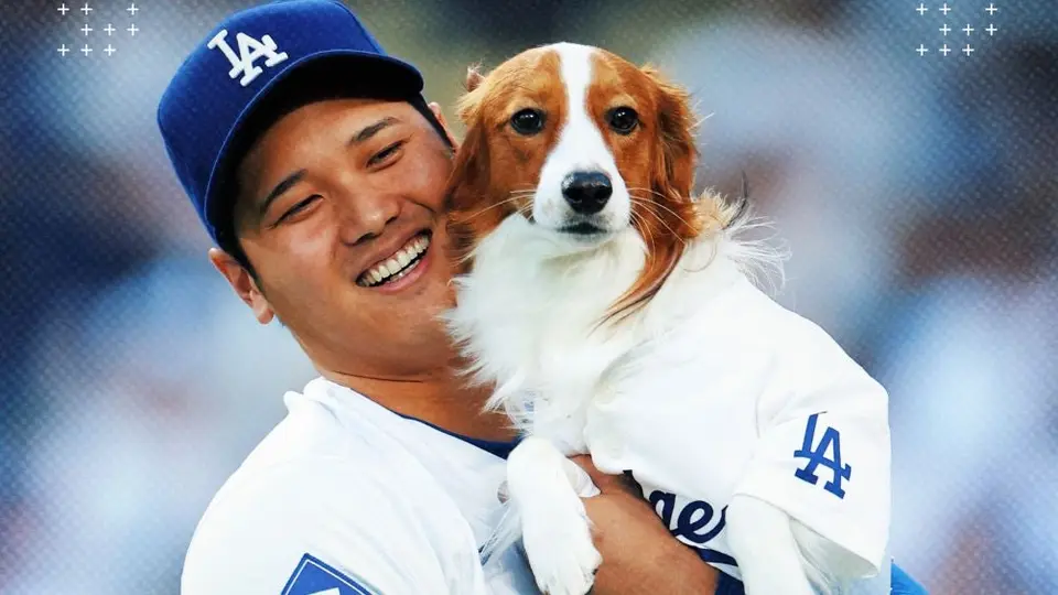 Shohei Ohtani y su perro Decoy lanzan la primera bola en la victoria de los Dodgers sobre los Orioles