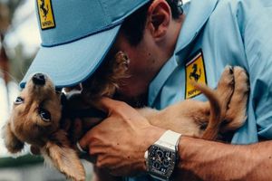 Perrito de Leclerc asiste al GP de Miami con acreditación VIP y las redes enloquecen