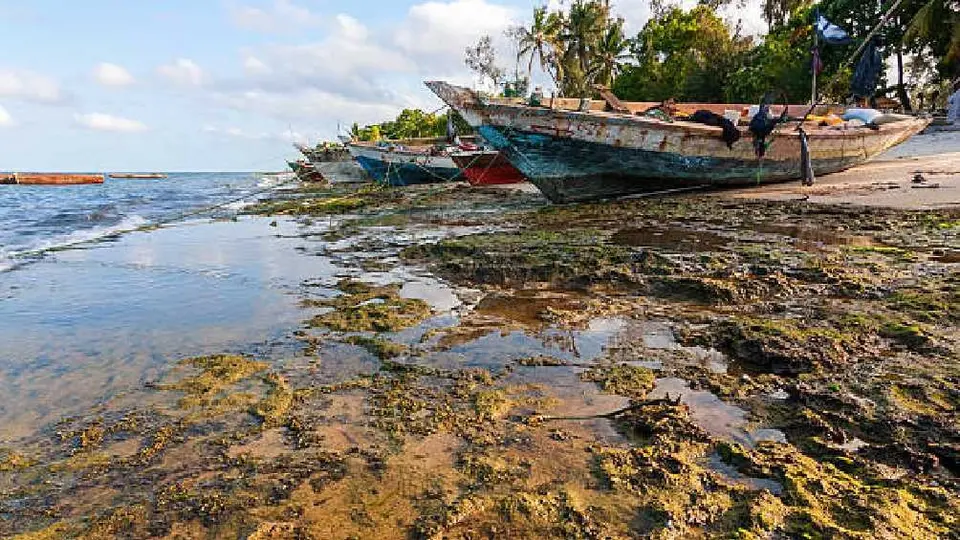 ¿Saldrás de vacaciones? Conoce las 18 playas más contaminadas de México