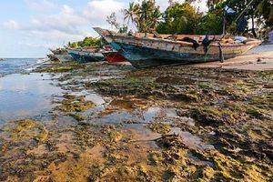 ¿Saldrás de vacaciones? Conoce las 18 playas más contaminadas de México