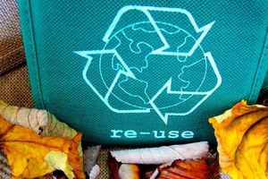 Europa innova en circularidad de plásticos: Madariaga Barrilado