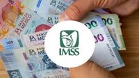 ¿Cómo pedir un incremento del 35% en tu Pensión IMSS? Te decimos aquí los requisitos que necesitas