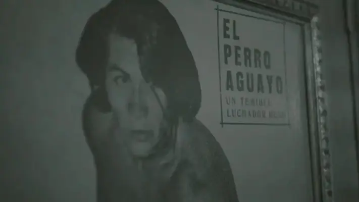 'Un México perro', documental del Perro Aguayo se estrena en RÉCORD+