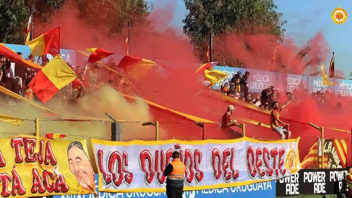¡Nuevo aficionado! Oveja aparece en pleno estadio del futbol uruguayo