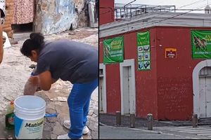 VIDEO: Denuncian a estética canina por bañar a perros con jabón de trastes y maltrato