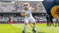 ¡En todos lados! Aficionada de Wimbledon 'sorprende' al usar gorra de los Pumas